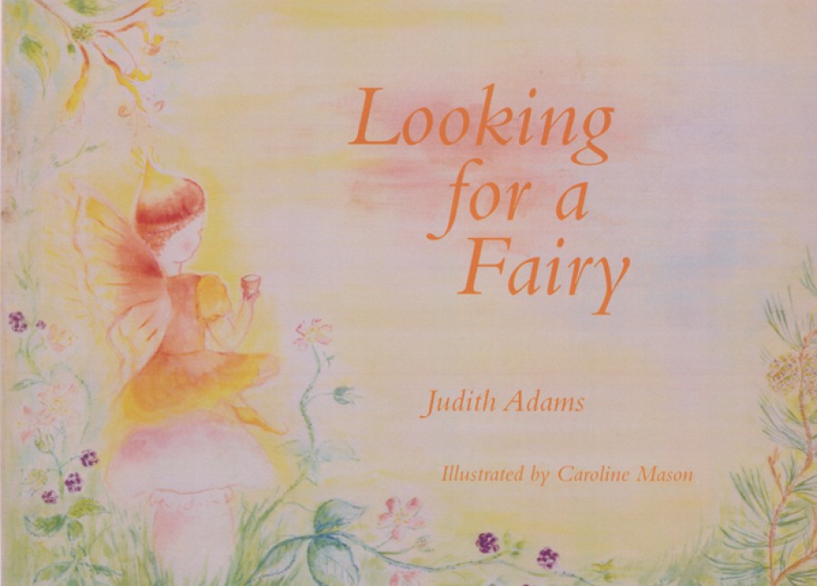 Picture Books | Wynstones Press Picture Books Looking For A Fairy