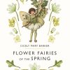 Picture Books | Flower Picture Books Flower Fairies Of The Spring