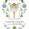 Picture Books | Flower Picture Books Flower Fairies Of The Winter