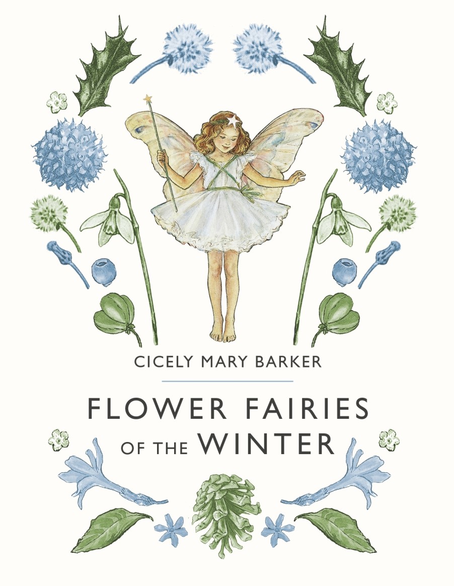 Picture Books | Flower Picture Books Flower Fairies Of The Winter