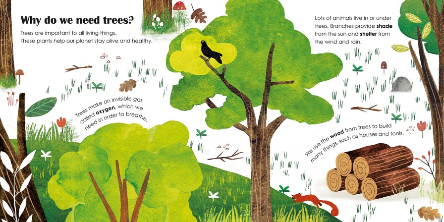 Picture Books | Floris Picture Books Trees - A Lift The Flap Eco Book