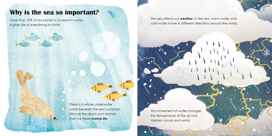 Picture Books | Floris Picture Books Seas - A Lift The Flap Eco Book