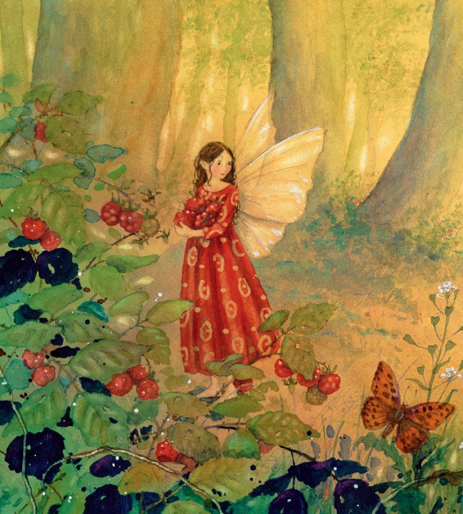 Picture Books | Floris Picture Books Little Fairy Makes A Wish