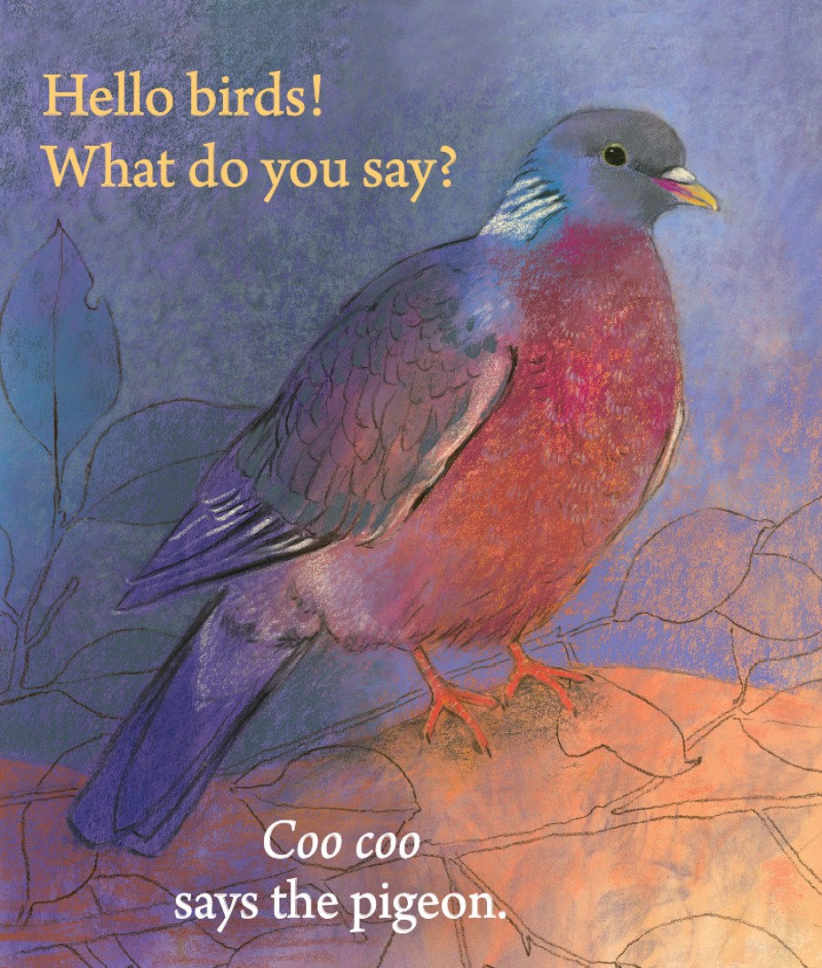 Picture Books | Floris Picture Books Hello Birds What Do You Say?