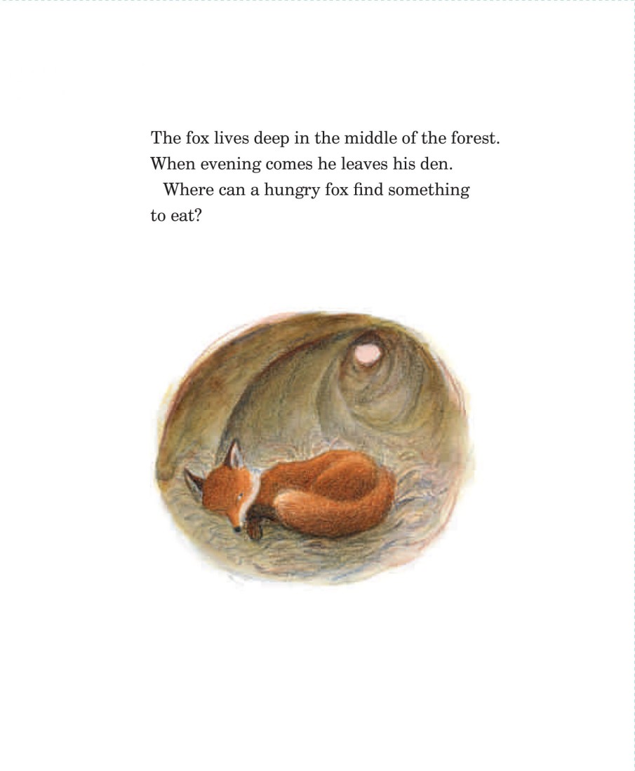 Picture Books | Floris Picture Books Tomten And The Fox