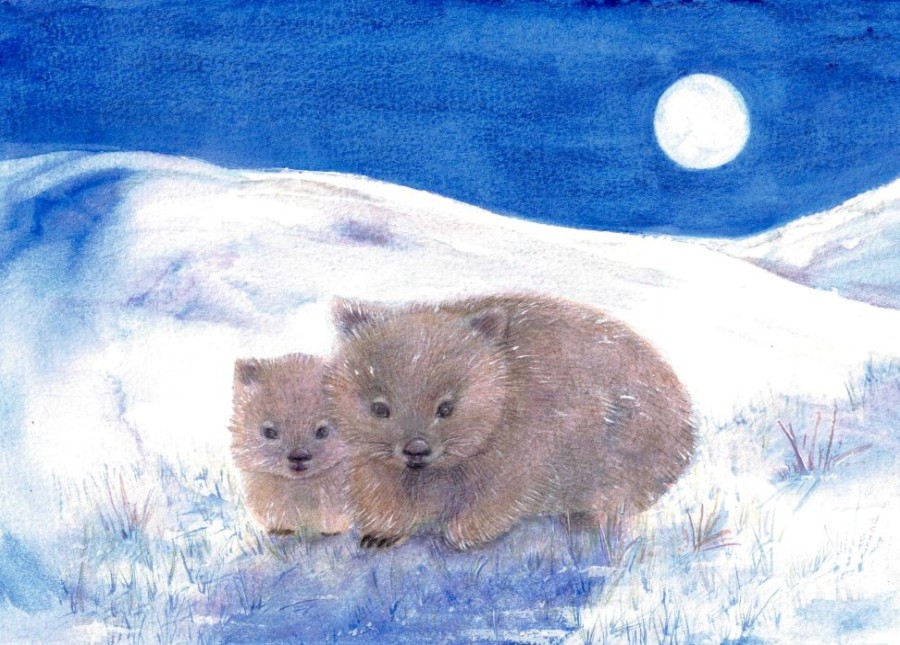 Postcards & Posters | Australian made Postcards & Posters Postcard Winter Wombat