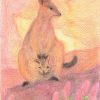 Postcards & Posters | Australian made Postcards & Posters Postcard Spring Rock Wallaby