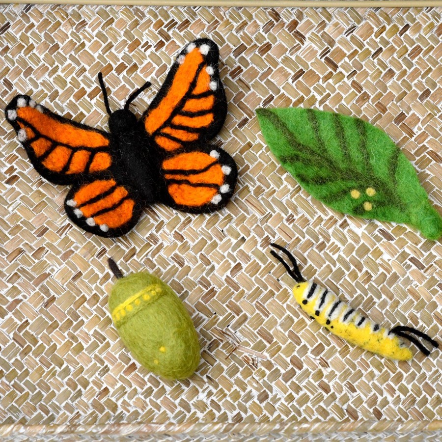 Life Cycles | Tara’s Treasures Life Cycles Lifecycle Of The Monach Butterfly