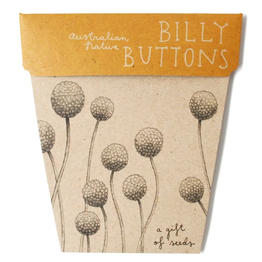 Gardening | Sow ’n Sow Gardening Sow 'N Sow Gift Of Seeds Billy Buttons