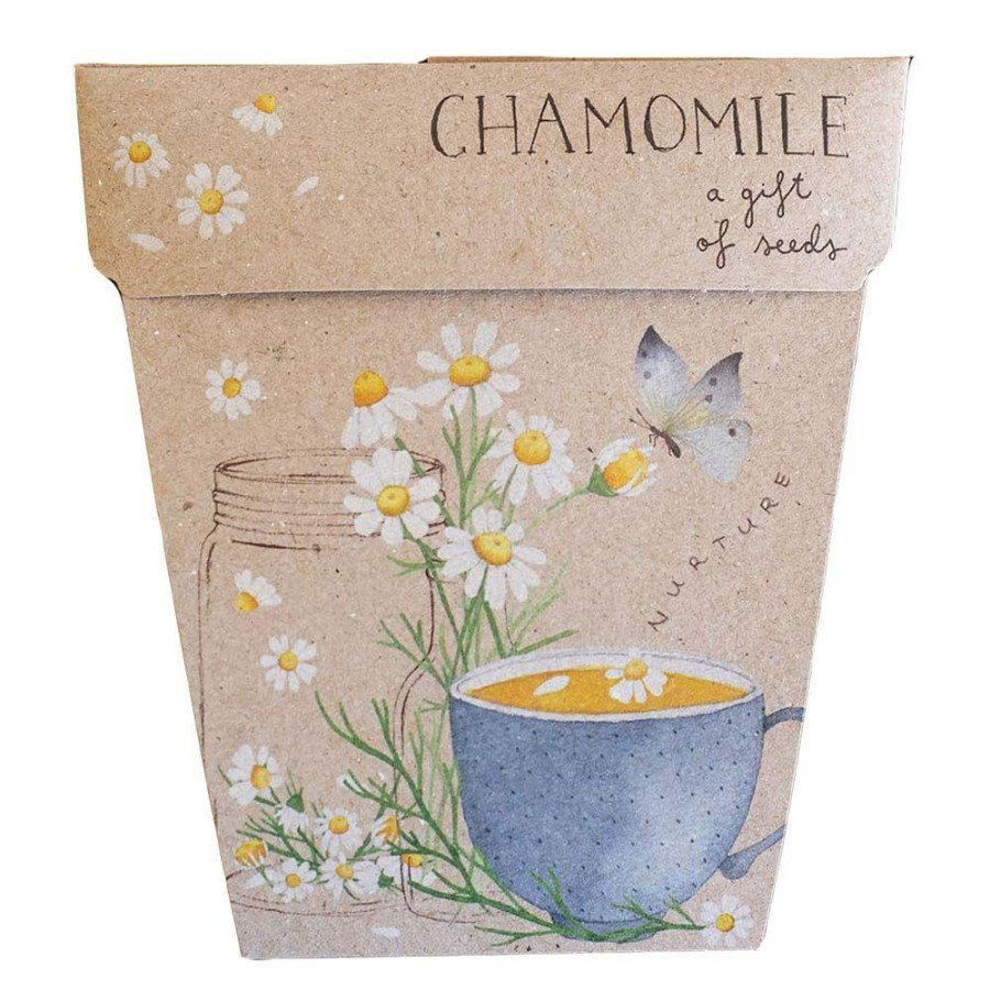 Gardening | Sow ’n Sow Gardening Sow 'N Sow Gift Of Seeds Chamomile