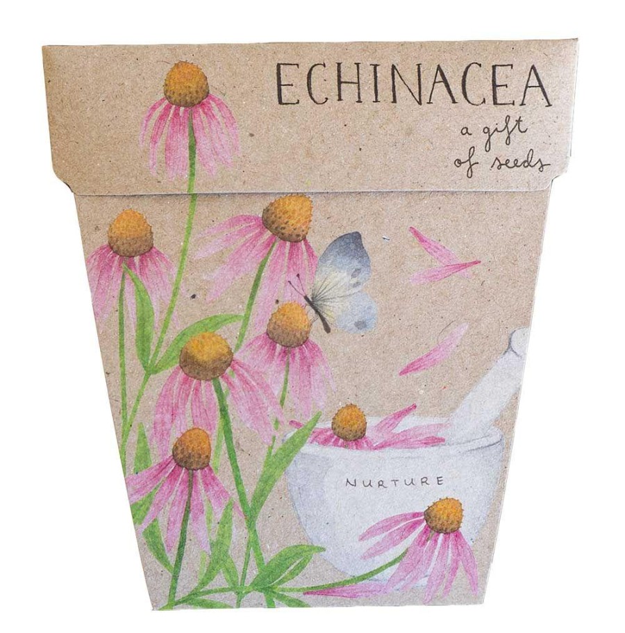 Gardening | Sow ’n Sow Gardening Sow 'N Sow Gift Of Seeds Echinacea