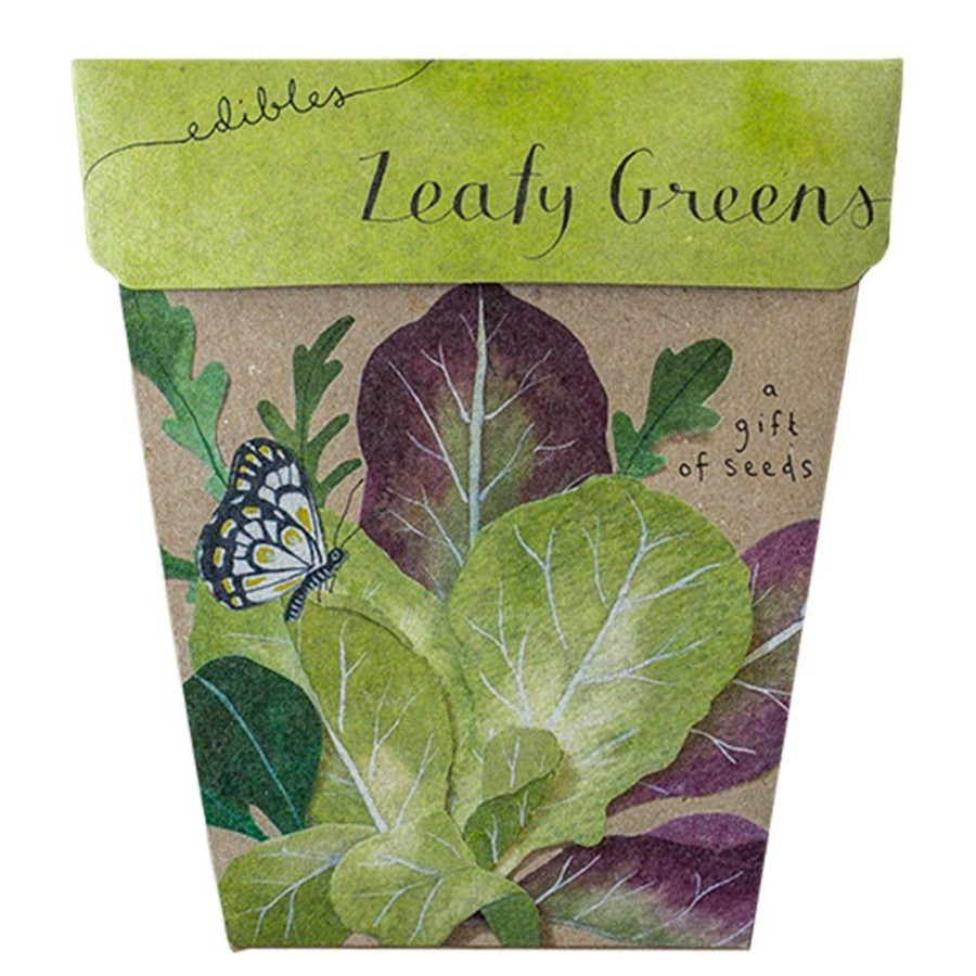 Gardening | Sow ’n Sow Gardening Sow 'N Sow Gift Of Seeds Leafy Greens