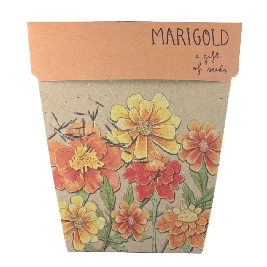 Gardening | Sow ’n Sow Gardening Sow 'N Sow Gift Of Seeds Marigold