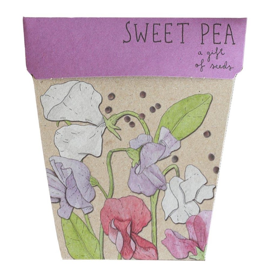 Gardening | Sow ’n Sow Gardening Sow 'N Sow Gift Of Seeds Sweet Pea