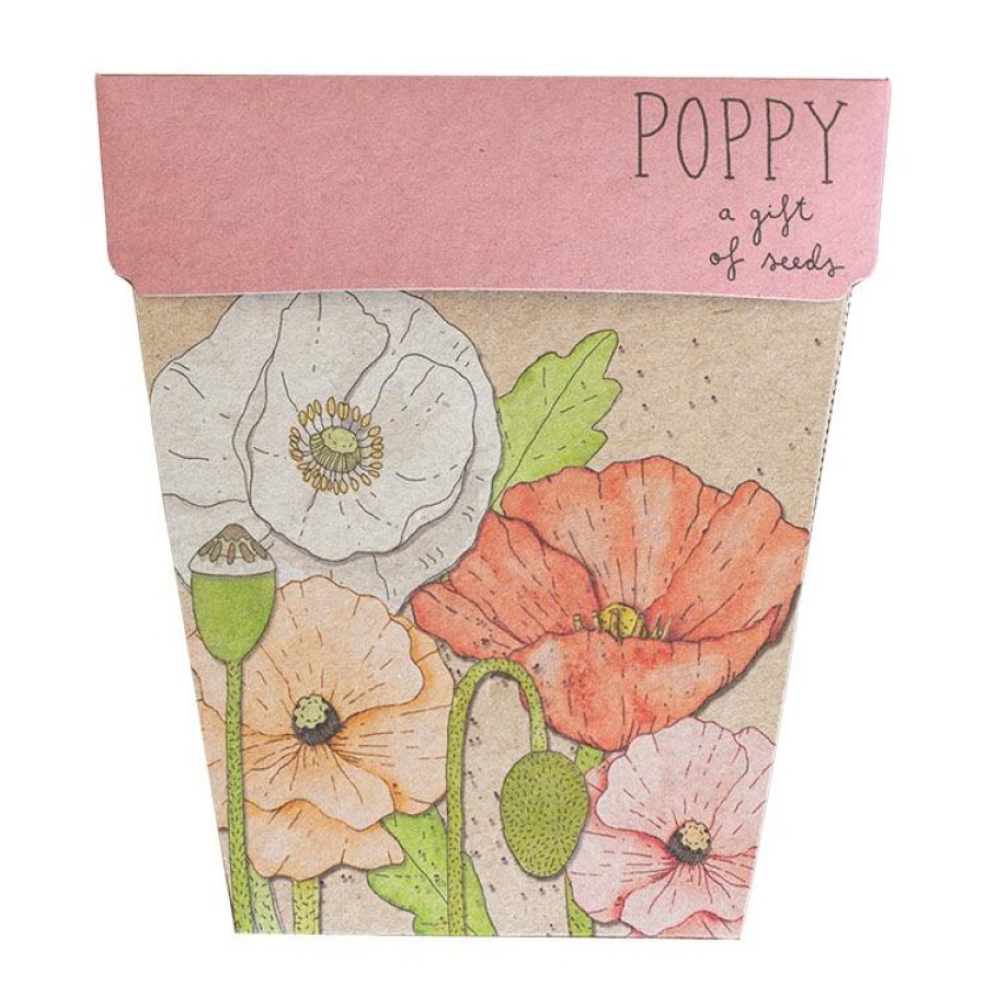 Greeting Cards | Sow ’n Sow Greeting Cards Sow 'N Sow Gift Of Seeds Poppy