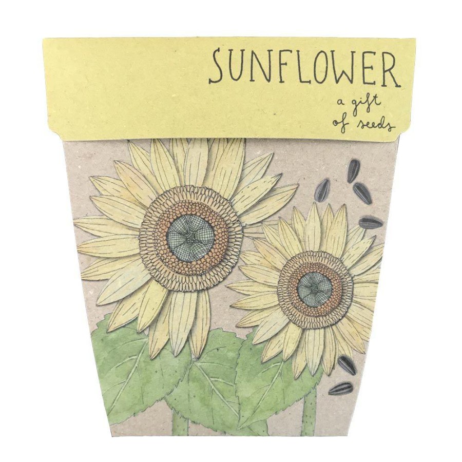 Gardening | Sow ’n Sow Gardening Sow 'N Sow Gift Of Seeds Sunflower