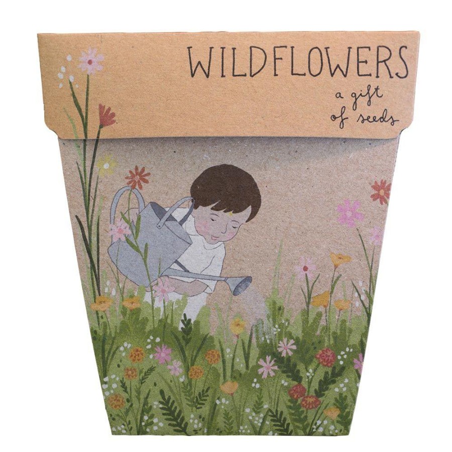 Gardening | Sow ’n Sow Gardening Sow 'N Sow Gift Of Seeds Wildflowers