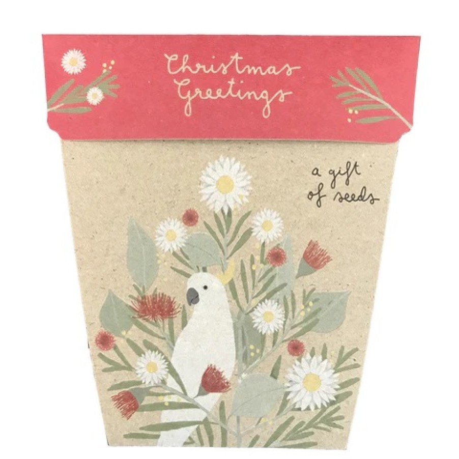 Gardening | Sow ’n Sow Gardening Sow 'N Sow Gift Of Seeds Christmas Daisy