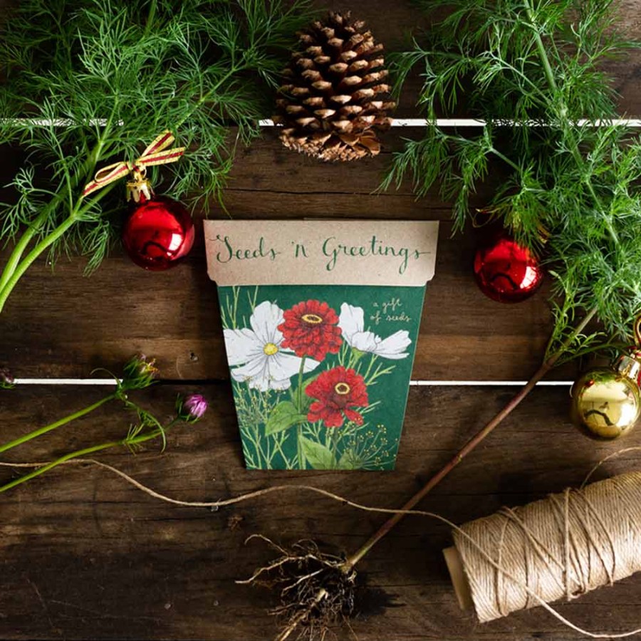 Gardening | Sow ’n Sow Gardening Sow 'N Sow Gift Of Seeds Christmas Seeds