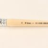 Painting | Sedulus Painting Sedulus Painting Brush: Hog Bristle Flat, 20 Mm