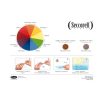 Drawing | Seccorell Drawing Seccorell Art Colour Mixing Card
