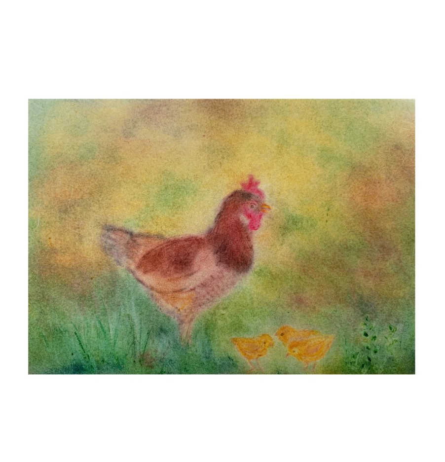 Postcards & Posters | Seccorell Postcards & Posters Seccorell Postcard Hen With Chick