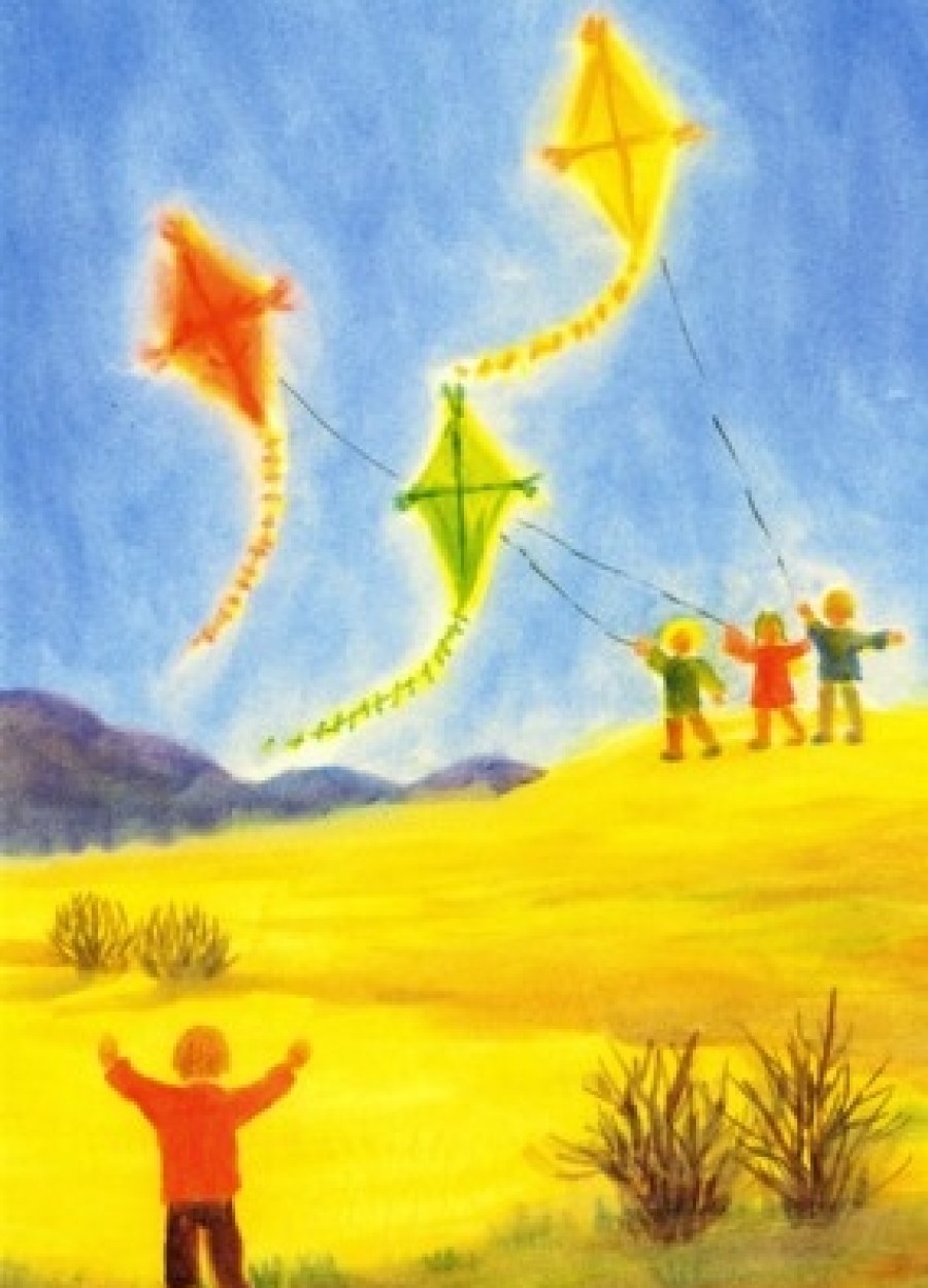 Postcards & Posters | Australian made Postcards & Posters Postcard Flying Kites