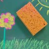 Chalk | Sedulus Chalk Sedulus Viscose Sponge For Blackboard Cleaning